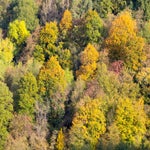 C_T_6624.jpg