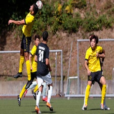 c_t_1319-1.jpg