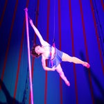 118-standard.jpg