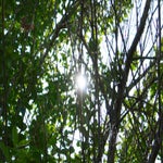 DSC01808-1.jpg