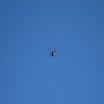 DSC01841.jpg