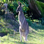 c_t_0095-standard.jpg