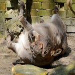 c_t_0172-standard.jpg