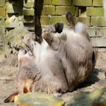 c_t_0175-standard.jpg