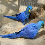 c_t_0206-standard.jpg