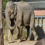 c_t_0252-standard.jpg
