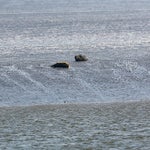 c_t_0310-standard.jpg