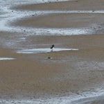 c_t_0329-standard.jpg