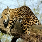c_t_0358-standard.jpg