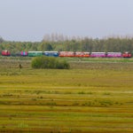 c_t_0380-standard.jpg