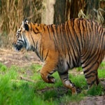 c_t_0423-standard.jpg