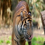 c_t_0437-standard.jpg