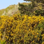 c_t_0517-standard.jpg