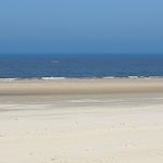 c_t_0536-standard.jpg