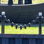 c_t_0561-standard-lvk90n.jpg