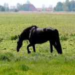 c_t_0567-standard.jpg