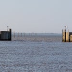 c_t_0587-standard.jpg