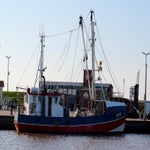 c_t_0588-standard.jpg