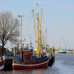 c_t_0606-standard.jpg