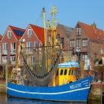 c_t_0613-standard.jpg