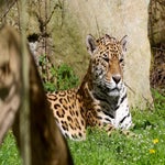 c_t_0634-standard.jpg