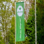c_t_0675-standard.jpg