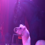 c_t_0688-standard.jpg