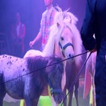 c_t_1038-standard.jpg