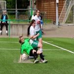 c_t_1324-standard.jpg