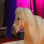c_t_3531-kopie-standard.jpg