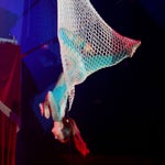 c_t_3799-kopie-standard.jpg