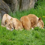 c_t_4645-standard.jpg