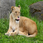 c_t_4646-standard.jpg