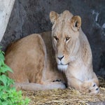 c_t_4674-standard.jpg