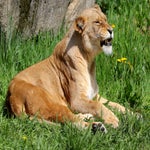 c_t_4849-standard.jpg