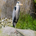 c_t_5179-standard.jpg