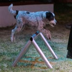 c_t_6249-standard.jpg