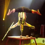 c_t_6416-kopie-standard.jpg