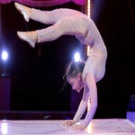 c_t_6544-standard.jpg