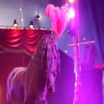 c_t_6602-standard.jpg