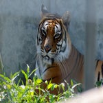 c_t_6649-standard.jpg