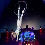 c_t_6705-standard.jpg