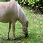 c_t_6907-standard.jpg
