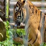 c_t_6983-standard.jpg