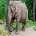 c_t_7786-standard.jpg