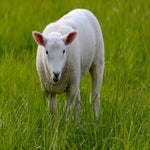 c_t_7926-standard.jpg