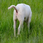 c_t_8023-standard.jpg