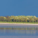 c_t_8147-standard.jpg