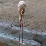 c_t_8198-standard.jpg