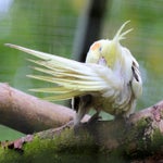 c_t_8276-standard.jpg